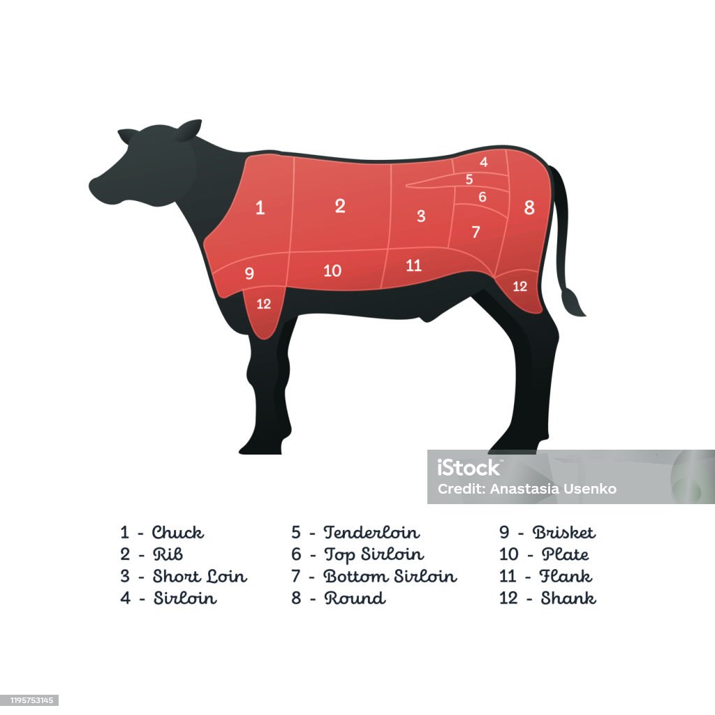 Biểu Ngữ Sơ Đồ Bít Tết Thịt Bò Vector Cắt Thịt Mỹ Màu Trắng Phong ...