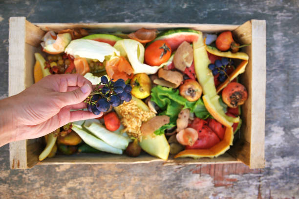 istock Female hand throws trash. Garbage sorting. Domestic waste for compost from fruits and vegetables. 1195755174