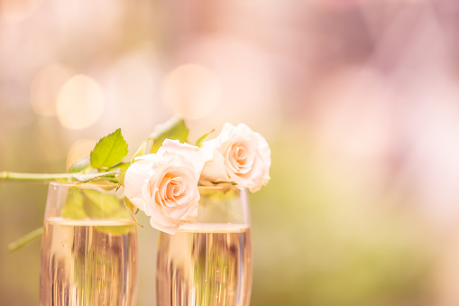 Rose flower on glass wine with blur bokeh background