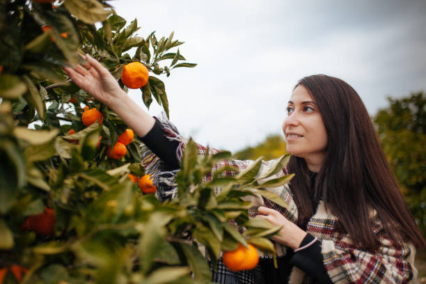 istock woman picking mandarin 1195758033