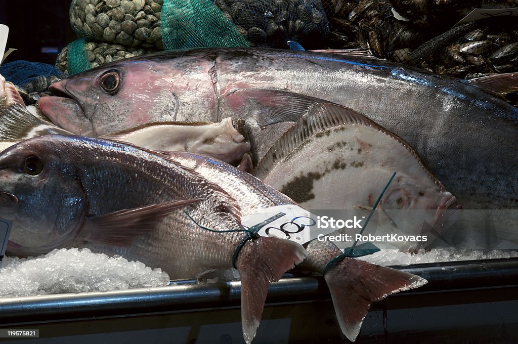 Fishmarket 構成 - カラー画像のロイヤリティフリーストックフォト