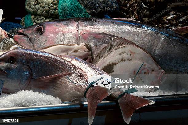 Fishmarket 構成 - カラー画像のストックフォトや画像を多数ご用意 - カラー画像, リアルト橋, ヴェネツィア市