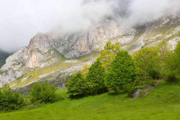 istock Peaks of Europe 1195758292