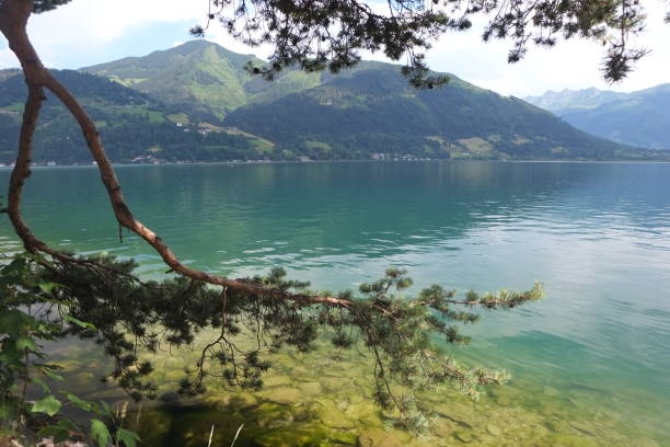 istock Edge of the lake 1195758407