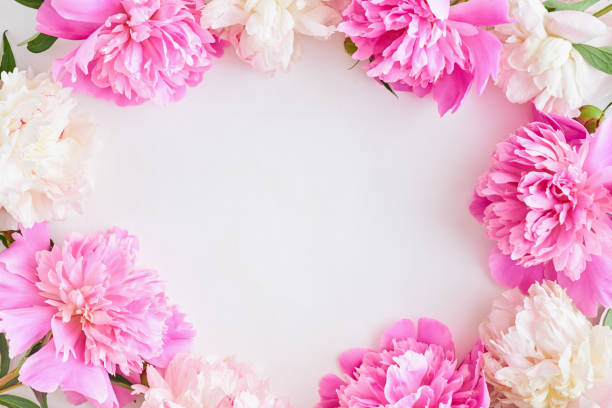 istock Flat lay composition with pink peonies on a white background 1195760682