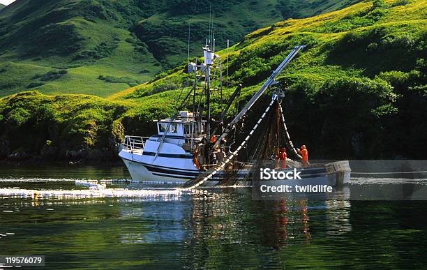 Commercial Fishing Near Kodiak Island Alaska Stock Photo - Download Image Now - Fishing Industry, Alaska - US State, Salmon - Animal