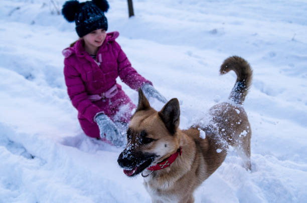 My guardian dog and snow is everything child need Child girl playing on snow with her pet Shepherd dog.Winter happiness and relaxing outdoors.Childhood with animal friend real life photos stock pictures, royalty-free photos & images