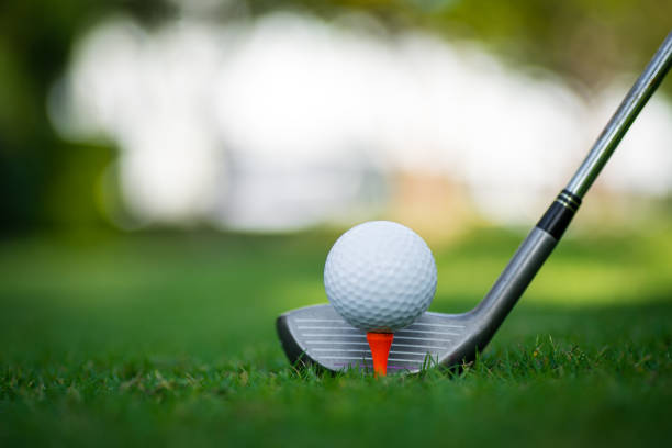istock Golf club and ball in grass . 1195765524