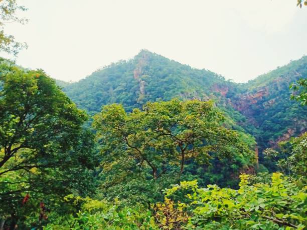 istock Landscape of Hill and Sky 1195766623