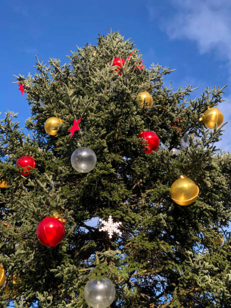 istock decorated pine tree against blue sky for new year 1195766838