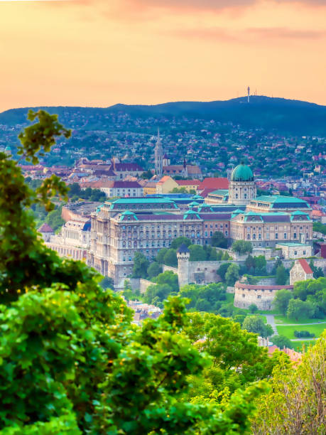 istock Budapest, Hungary from Gellert Hill 1195768012