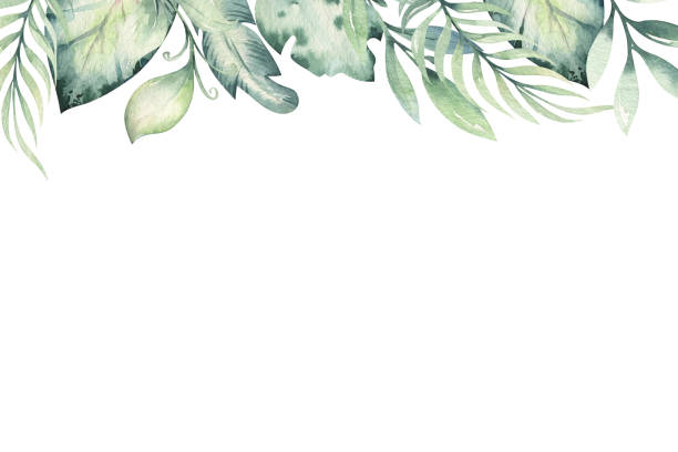 ilustrações, clipart, desenhos animados e ícones de fundo de flor tropical desenhado à mão da aquarela. folhas de palmeira exóticas, árvore da selva, elementos de botânica de decoração botânica trópica do brasil e flores. perfeito para o projeto da tela. - animal de safari