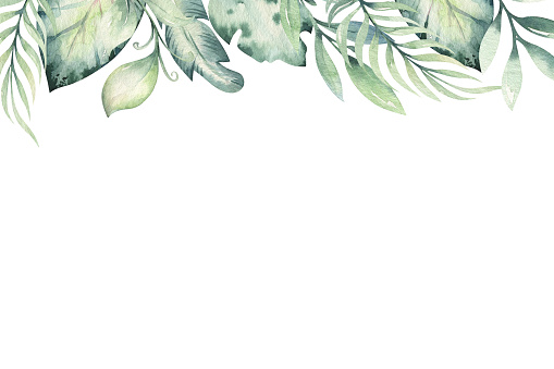 Hand drawn watercolor tropical flower background. Exotic palm leaves, jungle tree, brazil tropic botany elements and flowers. Perfect for fabric design. Aloha collection.