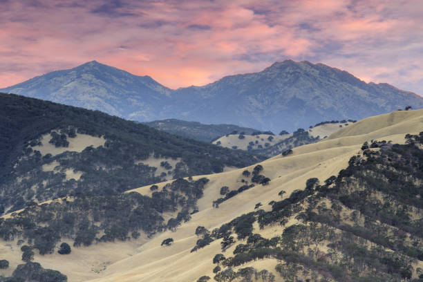 Mount Diablo as seen from the summit of Round Valley Regional Preserve on a summer sunset Contra Costa County, California, USA. contra costa county stock pictures, royalty-free photos & images