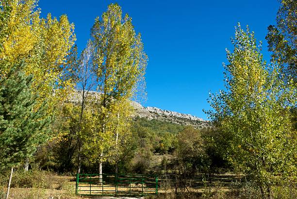 Autumn picture in the Burgos countryside (Spain)  alambrada stock pictures, royalty-free photos & images