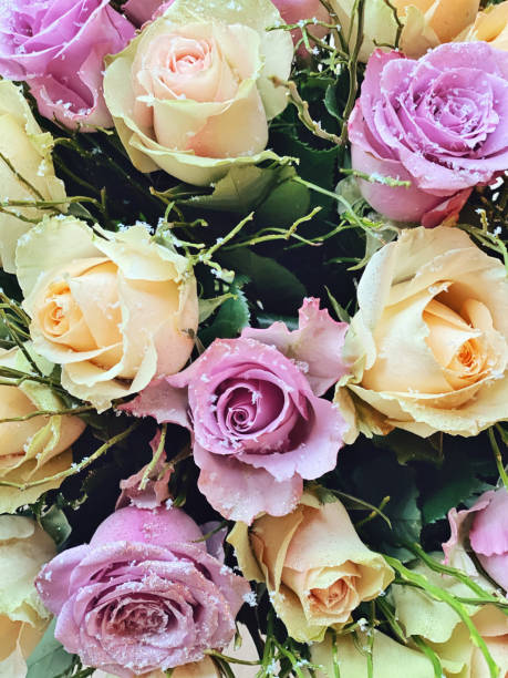 Close-up of a bouquet pink and yellow roses.
