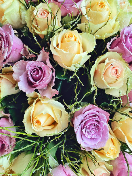 Close-up of a bouquet pink and yellow roses.