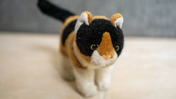 istock Close Up of Kitten Doll 1195774514