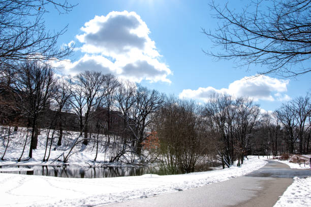 Boston, snowy way through the park with a littel river on the side and blue sky