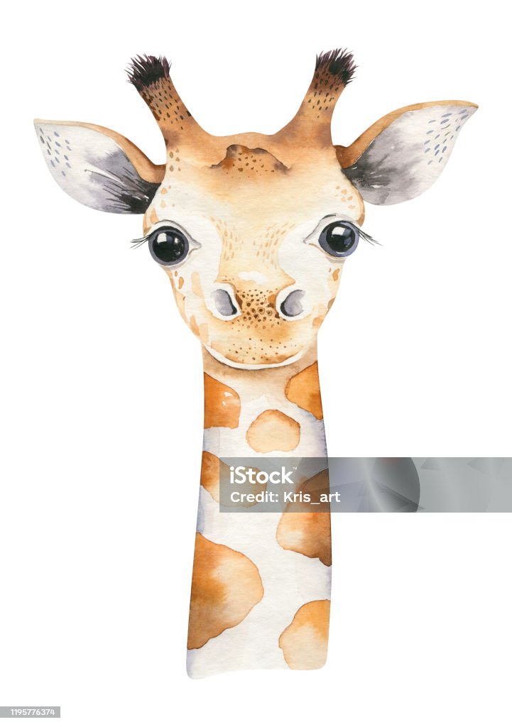 A Poster With A Baby Giraffe Watercolor Cartoon Giraffetropical Animal  Illustration Jungle Exotic Summer Print Stock Illustration - Download Image  Now - iStock