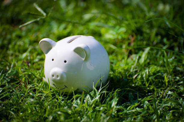 istock White piggy Bank with nature background 1195776461