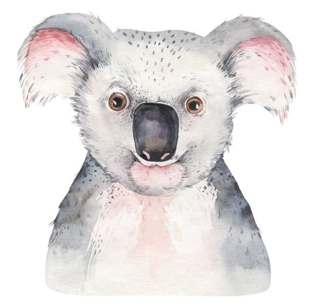 A poster with a koala. Watercolor cartoon koala tropical animal illustration. Jungle exotic summer print. A trendy poster with a koala. Watercolor cartoon koala tropical animal illustration. Jungle exotic summer print. kruis stock illustrations