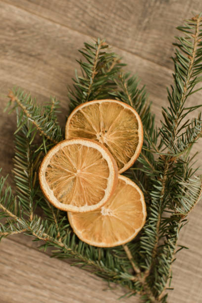 istock Citrus & Fraser Fir Christmas Tinsel 1195778027