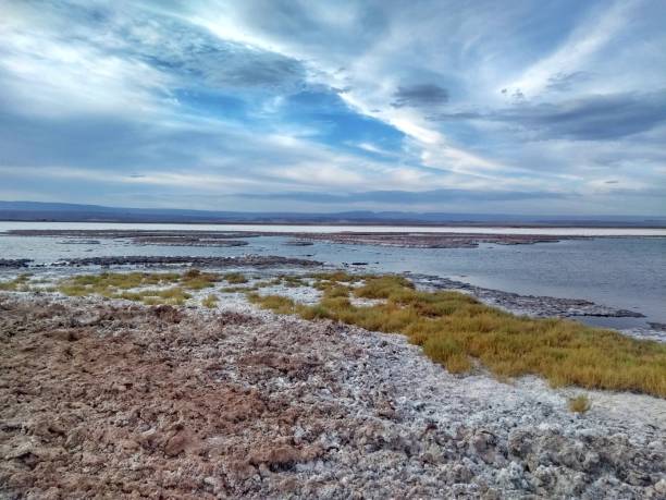 istock Laguna Tebinquiche, Atacama Desert, Chile, South America. 1195779093