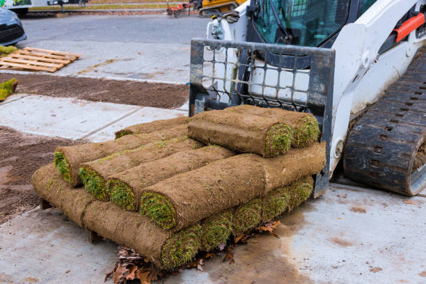 modern lawn planting technologies in landscape design roll grass close up, - sod field imagens e fotografias de stock