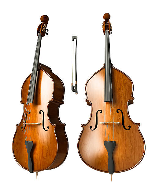 contrabbasso - violin family foto e immagini stock