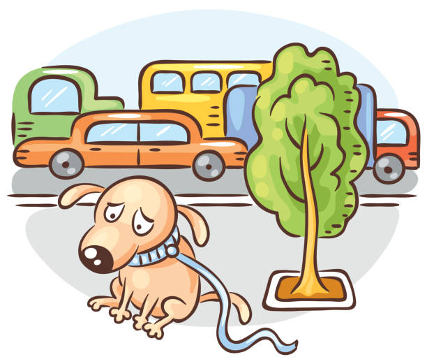 illustrations, cliparts, dessins animés et icônes de un chien est perdu dans une rue animée de ville - lost pet