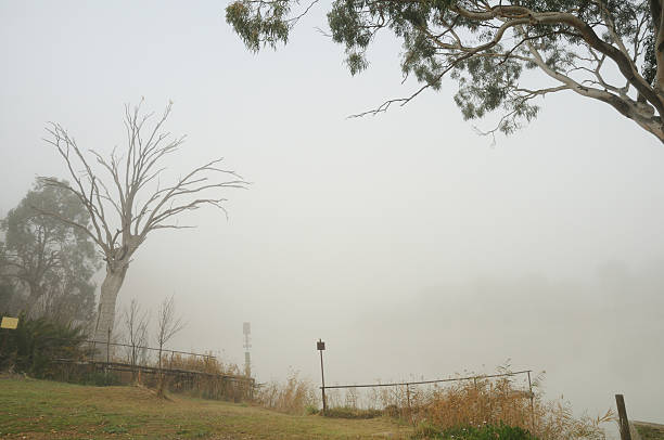 com nevoeiroweather forecast manhã sobre a água. walker plana, sul da austrália. - 7678 imagens e fotografias de stock