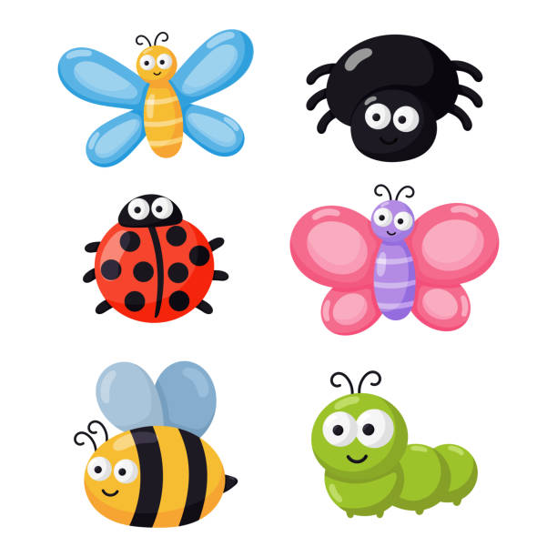 ilustrações, clipart, desenhos animados e ícones de erros engraçados. insetos dos desenhos animados isolados no fundo branco. ilustração vetor. - ladybug insect white isolated