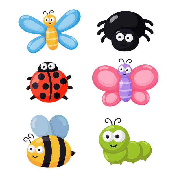 Set Of Funny Bugs Cartoon Insects Isolated On White Background Illustration  Vector Stock Illustration - Download Image Now - iStock