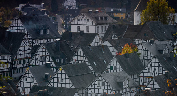istock Over the historic district of Freudenberg 1195784453