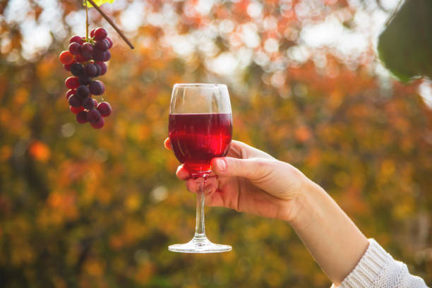 uma mão fêmea prende um vidro do vinho ao lado de um grupo das uvas. - business styles foods and drinks drinking - fotografias e filmes do acervo