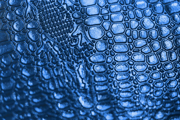 istock Background with blue crocodile skin texture. Concept texture, background, trend, color 2020. 1195785221