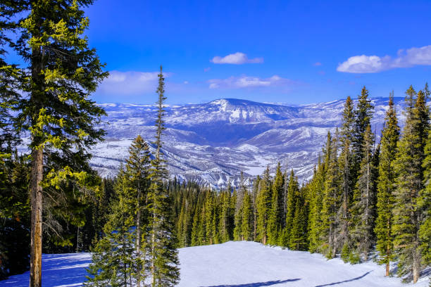 istock Colorado ski slope with pine trees and mountain peak in background 1195787557