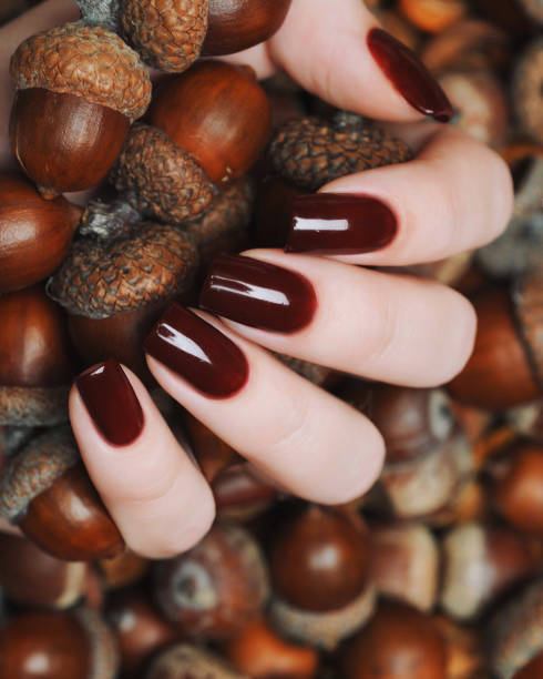 brown manicure against the background of acorns and nuts Burgundy brown manicure on a background of acorns fall nail art stock pictures, royalty-free photos & images