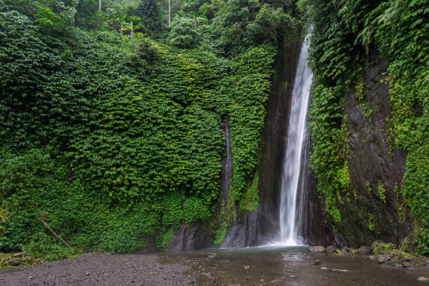 istock Munduk Waterfall on Bali 1195788397