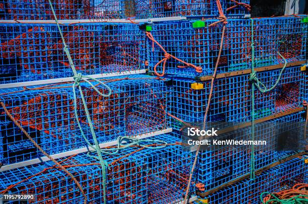 Stack Of Lobster Traps Stock Photo - Download Image Now - Blue, Cape Cod, Color Image