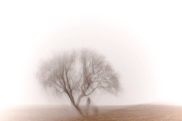 istock long exposure lonely tree and lonely person 1195793521