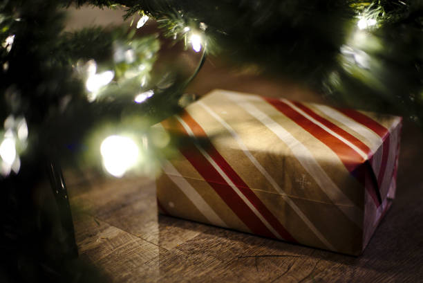 A wrapped Christmas present lays beneath a Christmas tree.
