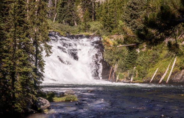 istock Mount Rushmore and Yellowstone - 2018 1195800479