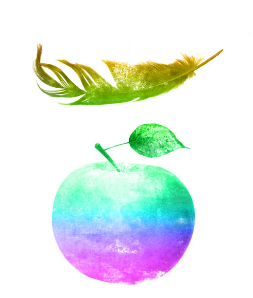 istock watercolor apple with feather isolated on a white background. 1195807976