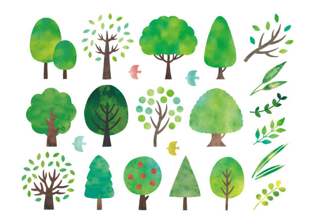 водяные деревья - акварельная живопись иллюстрации stock illustrations