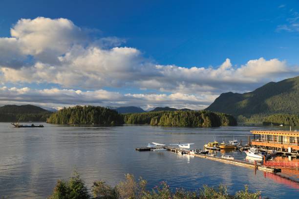 istock Tofino Harbor on a Sunny Day 1195813925