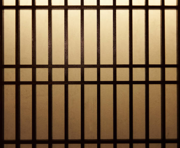 istock Korean traditional door 1195814686