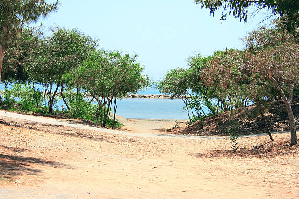 istock Path to the sea 119581524