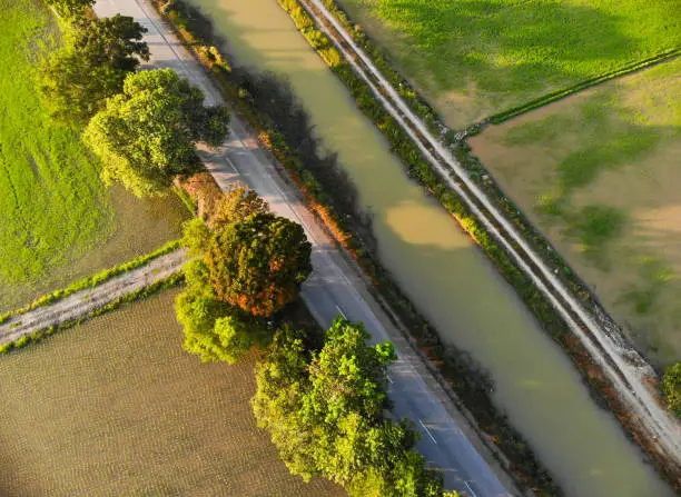 Aerial shot of paddy field somewhere in Kedah, Malaysia